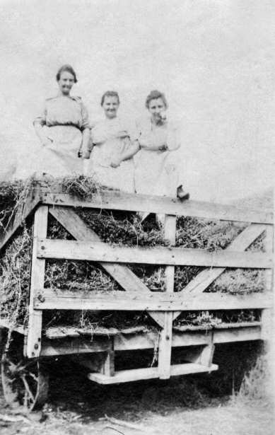 Lillie (Holmes) Jarret, Mary (Holmes) Stevens & Ann (Holmes) Martin