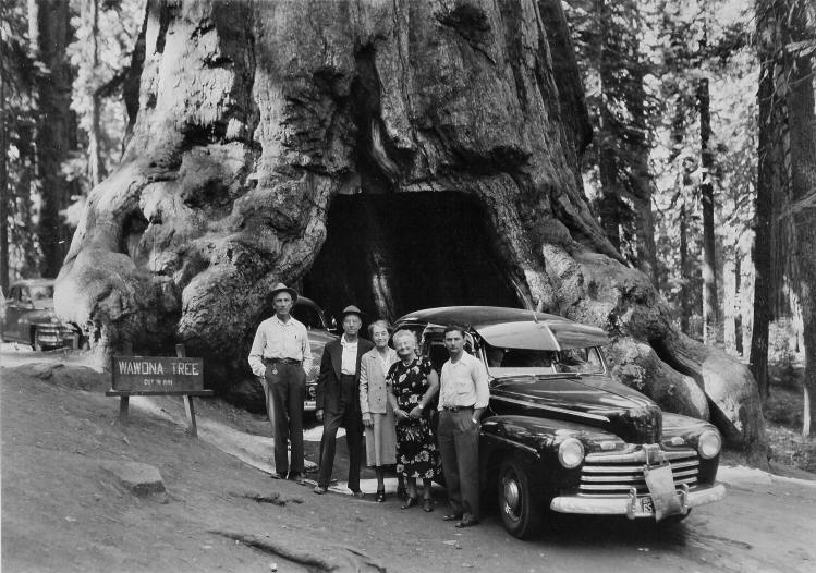 Yosemite National Park, CA - Tom Stevens, Walt Stevens, Laura May Stevens, Mame (Holmes) Stevens, Bill Stevens