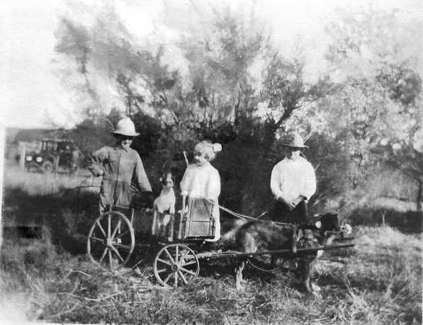 Harold Stevens, Charlotte Stevens and Don Stevens